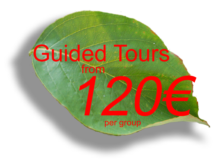Info about tours